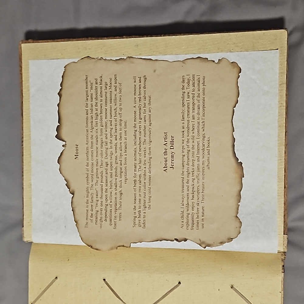 Rustic Photo Album - Picture 5 of 7